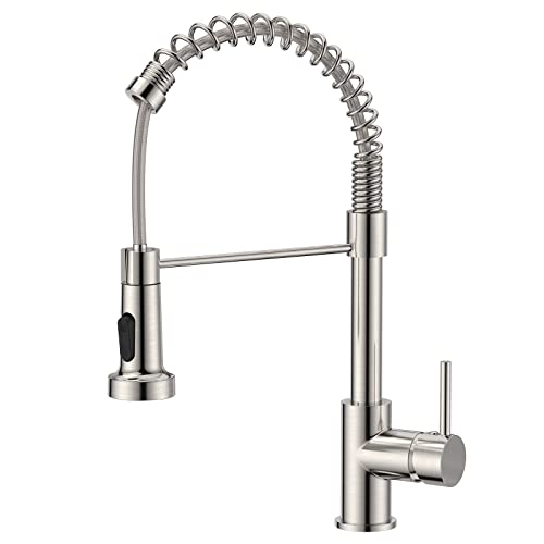 High-Arc Spring Kitchen Faucet with Pull-Down Spray